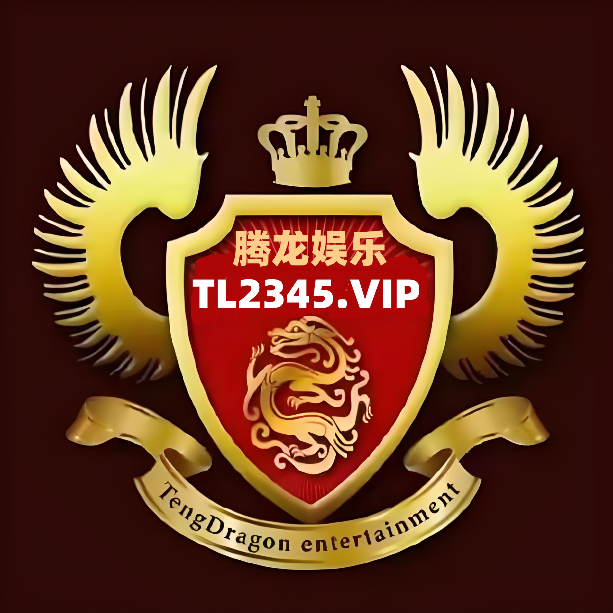 腾龙公司游戏官网
